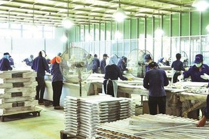 Phú Tài (PTB) dự kiến dùng toàn bộ cổ phiếu quỹ chia cho cổ đông hiện hữu