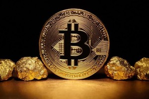 Sẽ không có phiên bản Elon Musk tại Trung Quốc trên thị trường tiền điện tử