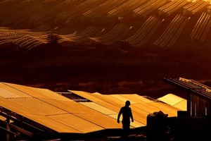 Ngành năng lượng mặt trời lao đao khi chi phí nguyên liệu đầu vào tăng