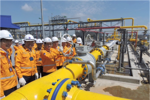 Phân phối khí thấp áp Dầu khí Việt Nam (PGD): Cổ đông lớn đến từ Singapore mua thêm cổ phiếu