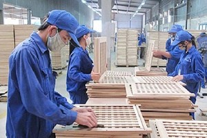 Gỗ Trường Thành (TTF): Quý II/2021 thoát lỗ nhờ giảm chi phí tài chính