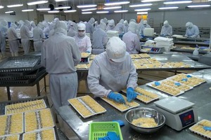 Camimex Group (CMX) chuẩn bị chào bán 30 triệu cổ phiếu riêng lẻ để huy động 351 tỷ đồng