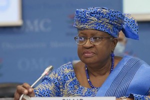 Tổng giám đốc Tổ chức Thương mại Thế giới (WTO), Ngozi Okonjo-Iweala