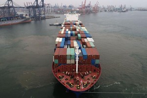 Các hãng vận tải biển trên thế giới đang kiếm được nhiều tiền nhất kể từ năm 2008