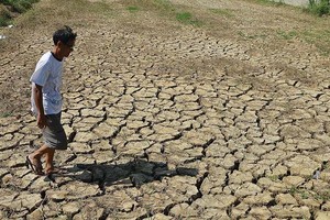 Thế giới đối mặt với nguy cơ thiếu lương thực ngày càng tăng do biến đổi khí hậu
