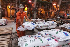 Đạm Phú Mỹ (DPM): Cổ đông lớn bán ra 300.000 cổ phiếu