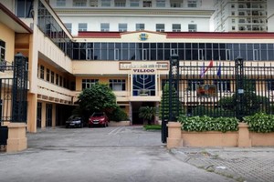 Vilico (VLC) xin ý kiến cổ đông phát hành cổ phiếu sáp nhập GTN Foods (GTN)