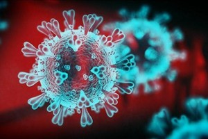 OECD: Biến thể Omicron có thể làm gia tăng tình trạng thiếu cung và lạm phát