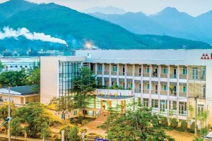 Cao su Đà Nẵng (DRC) dự kiến tạm ứng cổ tức năm 2021 với tỷ lệ 5%