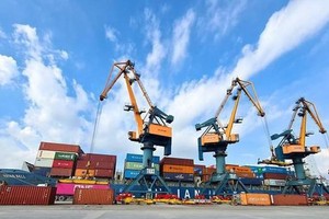 Vận tải và Xếp dỡ Hải An (HAH): Đầu tư Sao Á D.C nâng sở hữu lên 8% vốn điều lệ