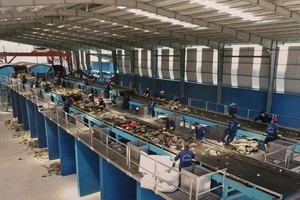 Chủ tịch HĐQT Biwase (BWE) vừa mua thêm 244.200 cổ phiếu