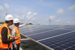 Quý I/2022, Licogi 13 (LIG) lỗ hoạt động cốt lõi 119,57 tỷ đồng và dòng tiền âm kỷ lục 460,2 tỷ đồng