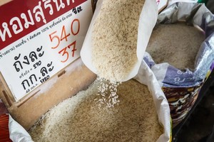 Tình trạng dư thừa gạo xuất hiện, trái ngược với lúa mì và ngô