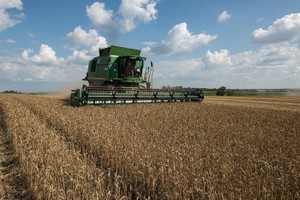 Goldman Sachs: "Kỳ vọng phi lý" đang giữ cho giá hàng hóa thấp một cách không bền vững