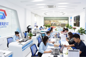 Chứng khoán Everest (EVS) bị phạt 400 triệu đồng liên quan tới phát hành lô trái phiếu Tân Hoàng Minh