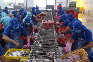 Camimex Group (CMX) lên kế hoạch phát hành 300 tỷ đồng trái phiếu với lãi suất 11,2%, tài sản đảm bảo bằng cổ phiếu