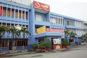 Cao su Miền Nam (CSM): Doanh thu và lợi nhuận đều giảm trong quý IV/2022