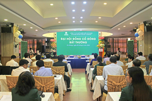 Sau kế hoạch bán vốn 1 công ty con, Angimex (AGM) tiếp tục thông qua giải thể công ty con thành lập chưa được 1 năm