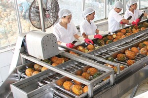 Afiex (AFX) tiếp tục nộp niêm yết lại 35 triệu cổ phiếu trên sàn HOSE