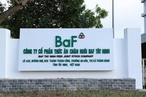 BaF Việt Nam (BAF) nói gì khi bị phạt do xả thải nước ra môi trường tại Hoà Bình