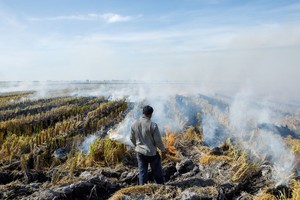 Hiện tượng El Nino có thể tạo ra cơn bão kinh tế mới