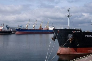 Thỏa thuận xuất khẩu ngũ cốc kết thúc gây áp lực lên giá lương thực toàn cầu