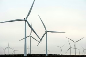 Anh có nguy cơ bị tụt lại trong việc chuyển đổi sang năng lượng xanh