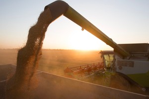 Các nhóm cổ phiếu hưởng lợi nhờ lạm phát lương thực