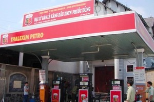 Vi phạm công bố thông tin, Thalexim (TLP) bị xử phạt 77,5 triệu đồng
