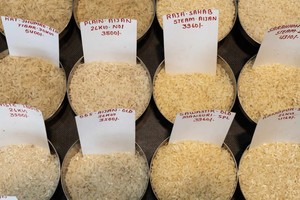 Giá gạo tăng cao làm dấy lên lo ngại lạm phát lương thực ở châu Á