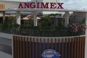 Angimex (AGM) muốn dùng quỹ đầu tư phát triển để khắc phục lỗ luỹ kế 125,43 tỷ đồng