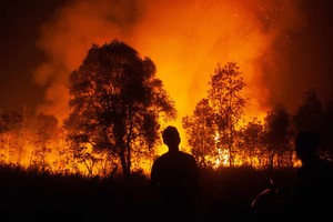 Thiệt hại do khủng hoảng khí hậu lên tới 391 triệu USD mỗi ngày