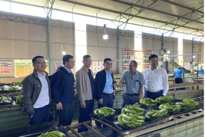 Uỷ ban Chứng khoán Nhà nước thông qua hồ sơ chào bán 130 triệu cổ phiếu của Hoàng Anh Gia Lai (HAG)