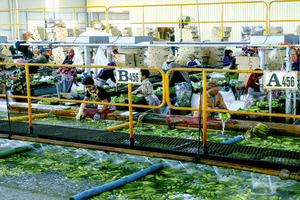 Nhóm Công ty Chứng khoán LPBank đã nâng sở hữu tại Hoàng Anh Gia Lai (HAG) lên 8,47%