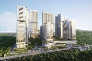 Loạt nhân sự cấp cao của CIC Group (CKG) từ nhiệm trước thềm Đại hội đồng cổ đông thường niên năm 2024