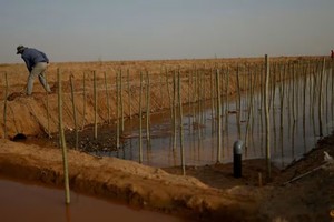 Mục tiêu an ninh lương thực của Trung Quốc gặp thách thức