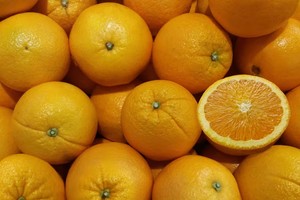 Khủng hoảng nước cam thúc đẩy tìm kiếm loại trái cây thay thế