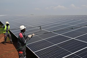 IEA: Đầu tư vào năng lượng mặt trời vượt xa mọi nguồn năng lượng khác