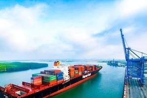 Không bán hết cổ phiếu, Cảng Phước An (PAP) muốn điều chỉnh kế hoạch sử dụng vốn đợt chào bán 32 triệu cổ phiếu