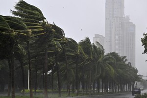 Từ bão Yagi, cảnh báo các hiện tượng khí hậu cực đoan ngày càng tăng do biến đổi khí hậu