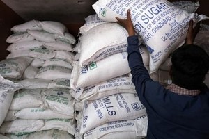 Nguồn cung đường của Brazil sụt giảm khiến Thái Lan và Ấn Độ phải gánh trách nhiệm bù đắp