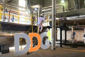 Xuất nhập khẩu Đông Dương (DDG) bị phạt 685 triệu đồng do vi phạm hàng loạt nghĩa vụ công bố thông tin