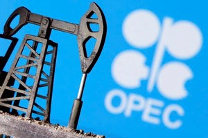 Thị trường dầu mỏ đang chia rẽ về việc liệu OPEC+ có tăng sản lượng vào tháng 12 hay không