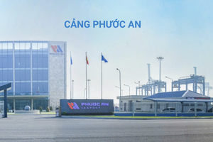 Cảng Phước An (PAP): Dù đã có doanh thu nhưng vẫn lỗ kỷ lục 23,8 tỷ đồng trong quý IV/2024