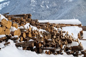 Mỹ điều tra về hoạt động nhập khẩu gỗ xẻ