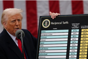 Vĩnh Hoàn, Nam Việt, Cao su Đà Nẵng, Casumina… có thể là nhóm chịu tác động do xuất khẩu tại thị trường Mỹ chiếm tỷ trọng cao