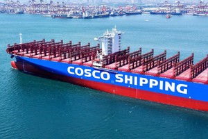 Xuất khẩu của Mỹ giảm mạnh do tác động của thuế quan