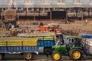 Tình trạng dư cung làm giảm biên lợi nhuận trong ngành gạo ở Ấn Độ