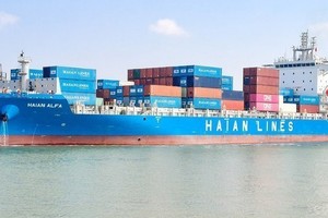 Hải An (HAH) và Viconship (VSC) bắt tay thành lập doanh nghiệp có vốn điều lệ 1.000 tỷ đồng