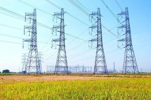 PECC2 (TV2) thành lập Công ty con với vốn điều lệ 69 tỷ đồng